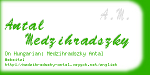 antal medzihradszky business card